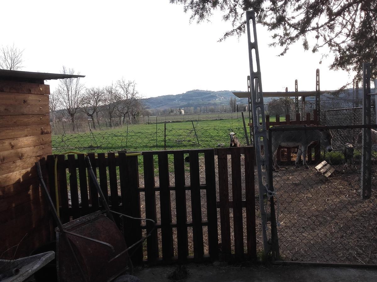 B&B La Quiete Foligno Exteriör bild